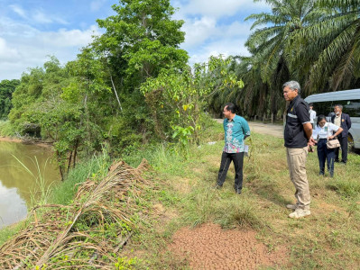 องผู้ว่าราชการจังหวัดฯ เป็นประธานตรวจสถานที่ที่ขออนุญาตปลูกส ... พารามิเตอร์รูปภาพ 1