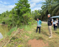 องผู้ว่าราชการจังหวัดฯ เป็นประธานตรวจสถานที่ที่ขออนุญาตปลูกส ... พารามิเตอร์รูปภาพ 1