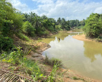 องผู้ว่าราชการจังหวัดฯ เป็นประธานตรวจสถานที่ที่ขออนุญาตปลูกส ... พารามิเตอร์รูปภาพ 3
