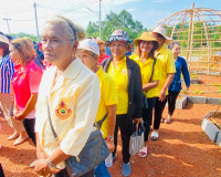 รองผู้ว่าราชการจังหวัดสุราษฎร์ธานี เป็นประธานเปิดกิจกรรม &quot;ผู ... พารามิเตอร์รูปภาพ 8
