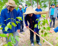 รองผู้ว่าราชการจังหวัดสุราษฎร์ธานี เป็นประธานเปิดกิจกรรม &quot;ผู ... พารามิเตอร์รูปภาพ 17