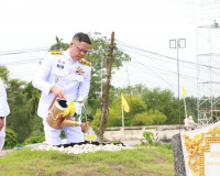 ผู้ว่าฯ สุราษฎร์ธานี นำข้าราชการและพุทธศาสนิกชนทุกหมูเหล่า ป ... พารามิเตอร์รูปภาพ 14