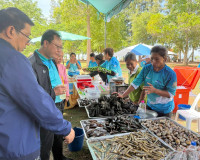 รองผู้ว่าราชการจังหวัดฯ เป็นประธาน ในพิธีเปิดกิจกรรมวันทะเลโ ... พารามิเตอร์รูปภาพ 16