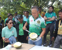 สภาเกษตรกรจังหวัดสุราษฎร์ธานีร่วมกับสมาคมทุเรียนใต้ จัดงาน &quot; ... พารามิเตอร์รูปภาพ 19