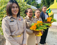 รองผู้ว่าราชการจังหวัดสุราษฎร์ธานี เป็นประธานคณะกรรมการพิจาร ... พารามิเตอร์รูปภาพ 14