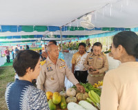 รองผู้ว่าราชการจังหวัดสุราษฎร์ธานี เป็นประธานคณะกรรมการพิจาร ... พารามิเตอร์รูปภาพ 2