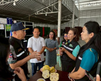 รองผู้ว่าราชการจังหวัดสุราษฎร์ธานี ลงพื้นที่ตรวจติดตามโรงคัด ... พารามิเตอร์รูปภาพ 2