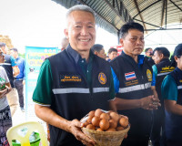 รองผู้ว่าราชการจังหวัดสุราษฎร์ธานี รองผู้ว่าราชการจังหวัดสุร ... พารามิเตอร์รูปภาพ 13
