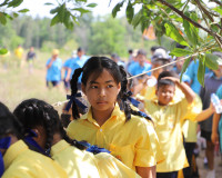 ผู้ว่าฯ สุราษฎร์ธานี เปิดกิจกรรมปลูกต้นไม้ ภายใต้ “โครงการปล ... พารามิเตอร์รูปภาพ 10