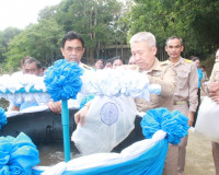รองผู้ว่าราชการจังหวัดสุราษฎร์ธานี เป็นประธานในพิธีปล่อยพันธ ... พารามิเตอร์รูปภาพ 9