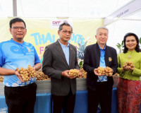 รองผู้ว่าราชการจังหวัดสุราษฎร์ธานี เป็นประธานในพิธีเปิดงาน &quot; ... พารามิเตอร์รูปภาพ 9
