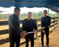 รองผู้ว่าราชการจังหวัดสุราษฎร์ธานี เป็นประธานการตรวจสถานที่ส ... พารามิเตอร์รูปภาพ 1