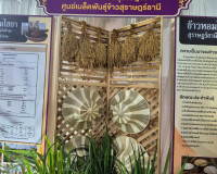 รองผู้ว่าราชการจังหวัดฯ ตรวจความพร้อมบูธนิทรรศการของ จ.สุราษ ... พารามิเตอร์รูปภาพ 3