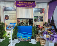 รองผู้ว่าราชการจังหวัดฯ ตรวจความพร้อมบูธนิทรรศการของ จ.สุราษ ... พารามิเตอร์รูปภาพ 4