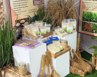 รองผู้ว่าราชการจังหวัดฯ ตรวจความพร้อมบูธนิทรรศการของ จ.สุราษ ... พารามิเตอร์รูปภาพ 8