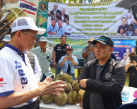 ผู้ว่าฯ สุราษฎร์ธานี ลงพื้นที่ตรวจเยี่ยมสวนทุเรียน ของสมาชิก ... พารามิเตอร์รูปภาพ 2