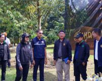 ผู้ว่าฯ สุราษฎร์ธานี ลงพื้นที่ตรวจเยี่ยมสวนทุเรียน ของสมาชิก ... พารามิเตอร์รูปภาพ 5