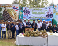 ผู้ว่าฯ สุราษฎร์ธานี ลงพื้นที่ตรวจเยี่ยมสวนทุเรียน ของสมาชิก ... พารามิเตอร์รูปภาพ 7