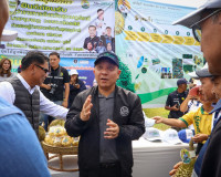 ผู้ว่าฯ สุราษฎร์ธานี ลงพื้นที่ตรวจเยี่ยมสวนทุเรียน ของสมาชิก ... พารามิเตอร์รูปภาพ 10