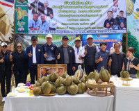 ผู้ว่าฯ สุราษฎร์ธานี ลงพื้นที่ตรวจเยี่ยมสวนทุเรียน ของสมาชิก ... พารามิเตอร์รูปภาพ 14