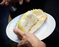 ผู้ว่าฯ สุราษฎร์ธานี ลงพื้นที่ตรวจเยี่ยมสวนทุเรียน ของสมาชิก ... พารามิเตอร์รูปภาพ 15