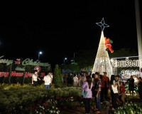 ผู้ว่าฯ สุราษฎร์ธานี เปิดกิจกรรมสวนเรืองแสง ภายใต้ชื่องาน “ด ... พารามิเตอร์รูปภาพ 11