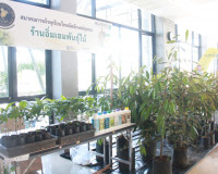 สมาคมการค้าทุเรียนไทยอัตลักษณ์ชุมชน เปิดเวทีเสวนา “SURAT DUR ... พารามิเตอร์รูปภาพ 3