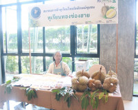 สมาคมการค้าทุเรียนไทยอัตลักษณ์ชุมชน เปิดเวทีเสวนา “SURAT DUR ... พารามิเตอร์รูปภาพ 16