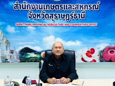 รองผู้ว่าราชการจังหวัดสุราษฎร์ธานี เข้าร่วมการประชุมคณะอนุกร ... พารามิเตอร์รูปภาพ 1