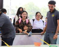 สุราษฎร์ธานีเปิดร้านนาวากาชาดคืนที่เจ็ด ขณะที่บรรยากาศภายในง ... พารามิเตอร์รูปภาพ 5