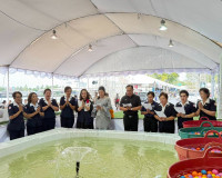 สุราษฎร์ธานีเปิดร้านนาวากาชาดคืนที่เจ็ด ขณะที่บรรยากาศภายในง ... พารามิเตอร์รูปภาพ 23