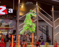 สุราษฎร์ธานีจัดงานตรุษจีน 2026 กระตุ้นท่องเที่ยว–เศรษฐกิจ พร ... พารามิเตอร์รูปภาพ 7