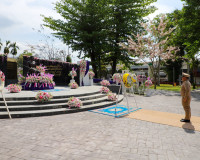 สุราษฎร์ธานีจัดพิธีสดุดีและบำเพ็ญพระกุศลถวาย “พระองค์เจ้าวิภ ... พารามิเตอร์รูปภาพ 8