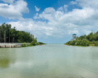 รองผู้ว่าราชการจังหวัดสุราษฎร์ธานี ลงพื้นที่ตรวจเยี่ยมการดำเ ... พารามิเตอร์รูปภาพ 9