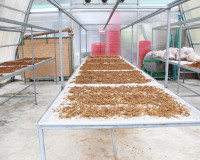 ผู้ว่าฯ สุราษฎร์ธานี ร่วมติดตามการดำเนินงานโครงการชุมชนพลังเ ... พารามิเตอร์รูปภาพ 49