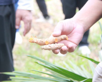 ผู้ว่าฯ สุราษฎร์ธานี ร่วมติดตามการดำเนินงานโครงการชุมชนพลังเ ... พารามิเตอร์รูปภาพ 50