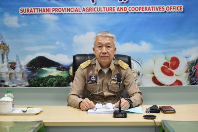 รองผู้ว่าราชการจังหวัดสุราษฎร์ธานี เป็นประธานประชุมคัดเลือกก ... พารามิเตอร์รูปภาพ 1
