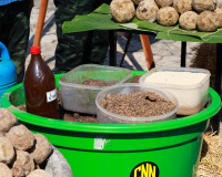 สุราษฎร์ธานี จัดกิจกรรมจิตอาสาพัฒนาสวนสาธารณะบึงขุนทะเล น้อม ... พารามิเตอร์รูปภาพ 2