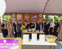 สุราษฎร์ธานีลงพื้นที่บ้านนาสาร ขับเคลื่อน “บำบัดทุกข์ บำรุงส ... พารามิเตอร์รูปภาพ 30