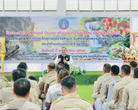 สุราษฎร์ธานีเดินหน้า “ผู้ว่าฯ สัญจร” ลงพื้นที่บ้านนาสาร เปิด ... พารามิเตอร์รูปภาพ 3