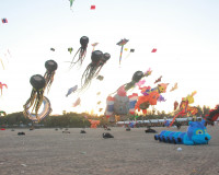 เปิดยิ่งใหญ่ เทศกาลงานว่าวสุราษฎร์ธานี 2569 ส่งเสริมการท่องเ ... พารามิเตอร์รูปภาพ 11