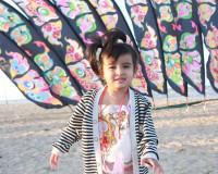 เปิดยิ่งใหญ่ เทศกาลงานว่าวสุราษฎร์ธานี 2569 ส่งเสริมการท่องเ ... พารามิเตอร์รูปภาพ 32