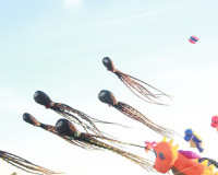 เปิดยิ่งใหญ่ เทศกาลงานว่าวสุราษฎร์ธานี 2569 ส่งเสริมการท่องเ ... พารามิเตอร์รูปภาพ 69