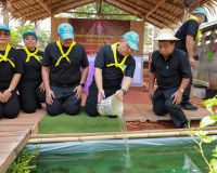 สุราษฎร์ธานีรวมใจภักดิ์! ผู้ว่าฯ นำขบวนจิตอาสาทำความดีเพื่อส ... พารามิเตอร์รูปภาพ 19