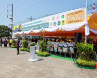 จังหวัดสุราษฎร์ธานีเปิดกิจกรรมรณรงค์ความปลอดภัยทางถนนช่วงเทศ ... พารามิเตอร์รูปภาพ 12