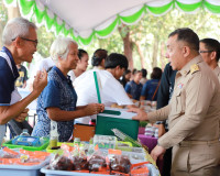 จังหวัดสุราษฎร์ธานี จัดโครงการ “หน่วยบำบัดทุกข์ บำรุงสุข สร้ ... พารามิเตอร์รูปภาพ 33