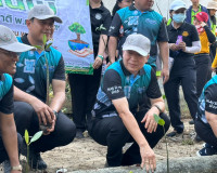 รองผู้ว่าราชการจังหวัดสุราษฎร์ธานี เป็นประธานกิจกรรมปลูกป่าช ... พารามิเตอร์รูปภาพ 5