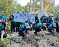 รองผู้ว่าราชการจังหวัดสุราษฎร์ธานี เป็นประธานกิจกรรมปลูกป่าช ... พารามิเตอร์รูปภาพ 8