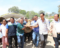 ผู้ว่าฯ สุราษฎร์ธานี เปิดโครงการสืบสานประเพณี “ชักพระบก” อัต ... พารามิเตอร์รูปภาพ 2
