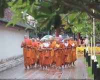 รองผู้ว่าราชการจังหวัดสุราษฎร์ธานี เป็นประธานในพิธีแห่ผ้าห่ม ... พารามิเตอร์รูปภาพ 7